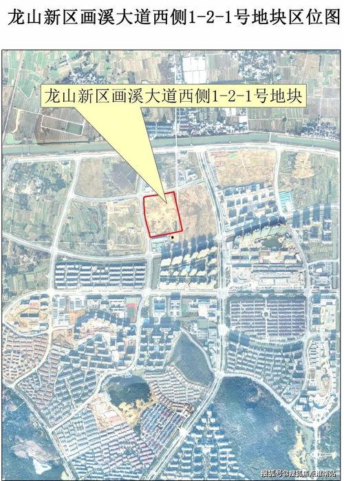 官方爆料新植物剪影视频,神秘新植物即将亮相！  第2张